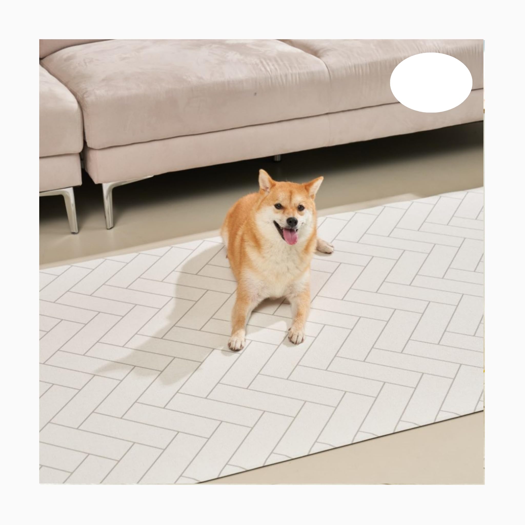 Amazon.co.jp: Caraz抗菌マット ペットマット 140×180x0.6cm フロア